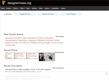 Tablet Screenshot of designermixes.org